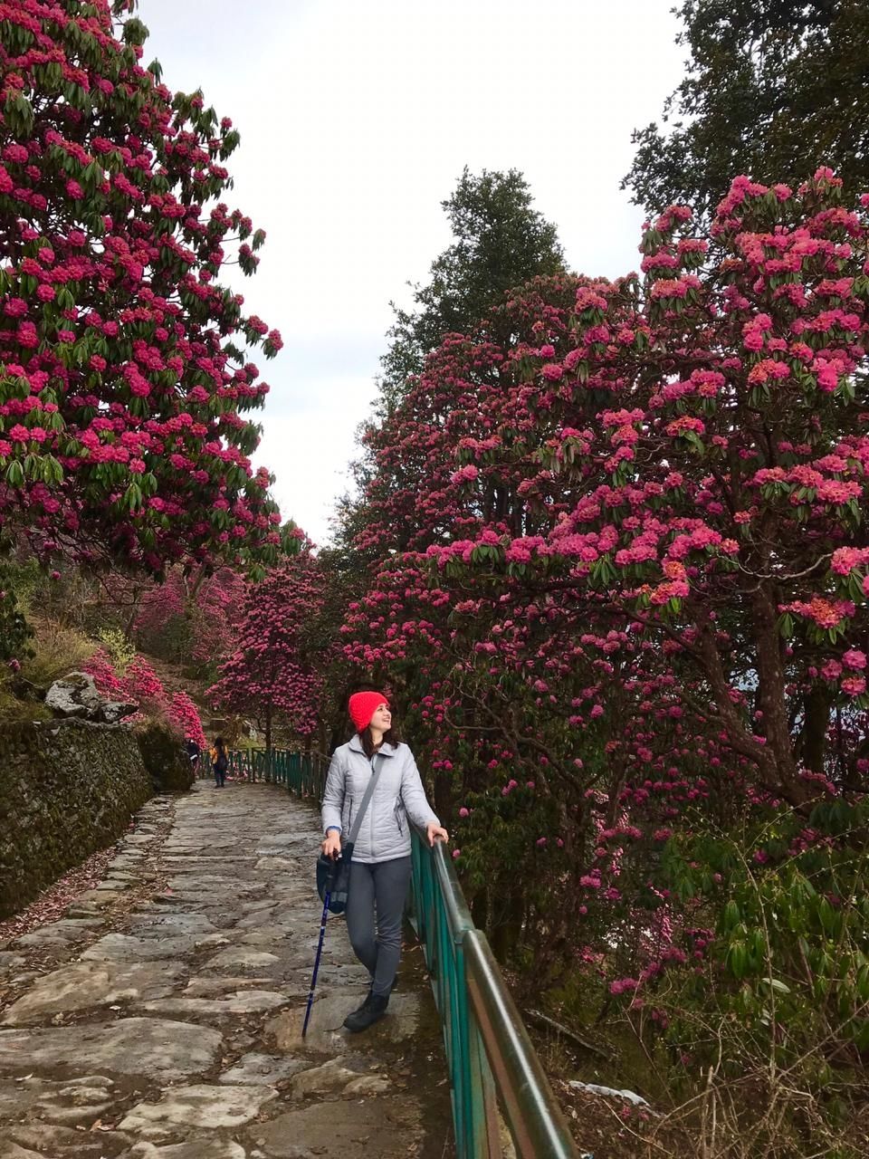 chopta tour package